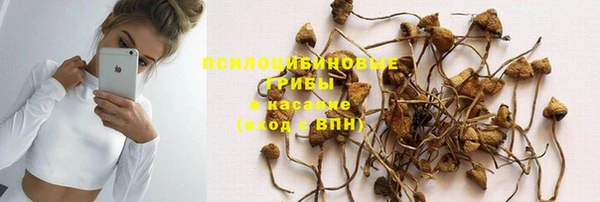 mdpv Горнозаводск