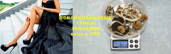 mdpv Горнозаводск