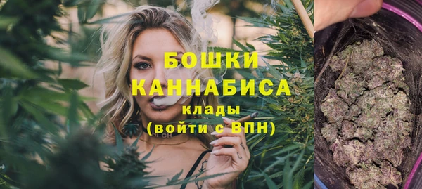 не бодяженный Горно-Алтайск