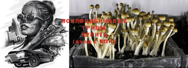 мет Горняк