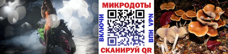 Купить закладки  Кочубеевское  Галлюциногенные грибы Cubensis 